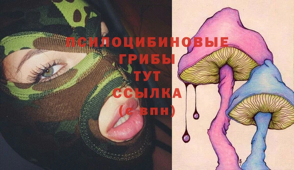 стаф Алексеевка