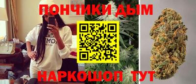 крисы Балаково