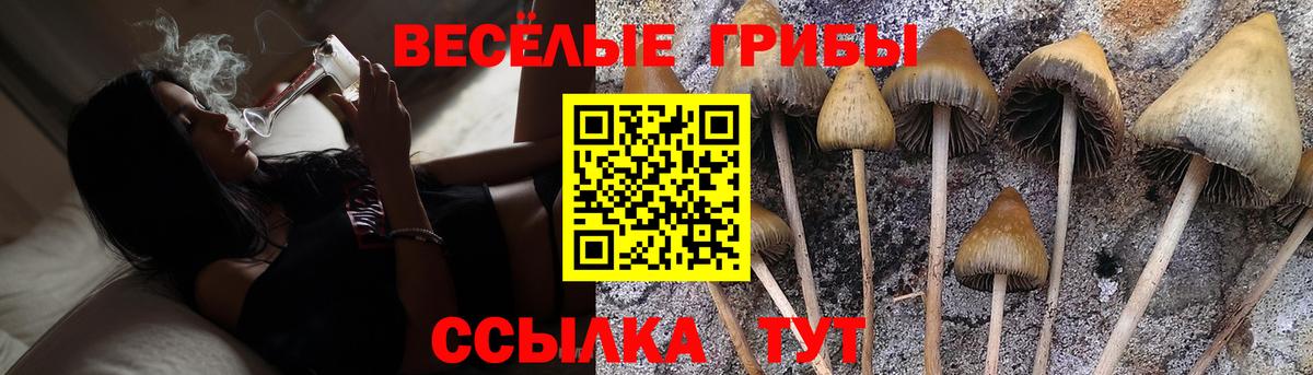Воткинск  Псилоцибиновые грибы прущие грибы  Псилоцибиновые грибы GOLDEN TEACHER  Вход с VPN 